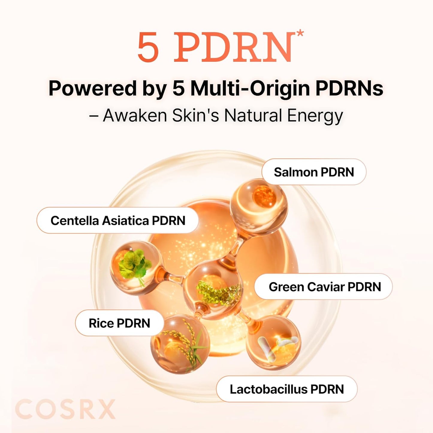 5 PDRN B5 Vital Soothing Toner by COSRX