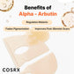 The Alpha-Arbutin Discoloration Care Hydrogel Mask by COSRX