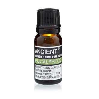 Eucalyptus essential oil by Ancient